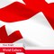 G128 5 Pack: Georgia Georgian Flag | 3x5 Ft | LiteWeave Pro Series Printed 150D Polyester | Country Flag, Indoor/Outdoor, Vibrant Colors, Brass Grommets